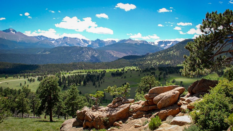 green trees and mountains during daytime