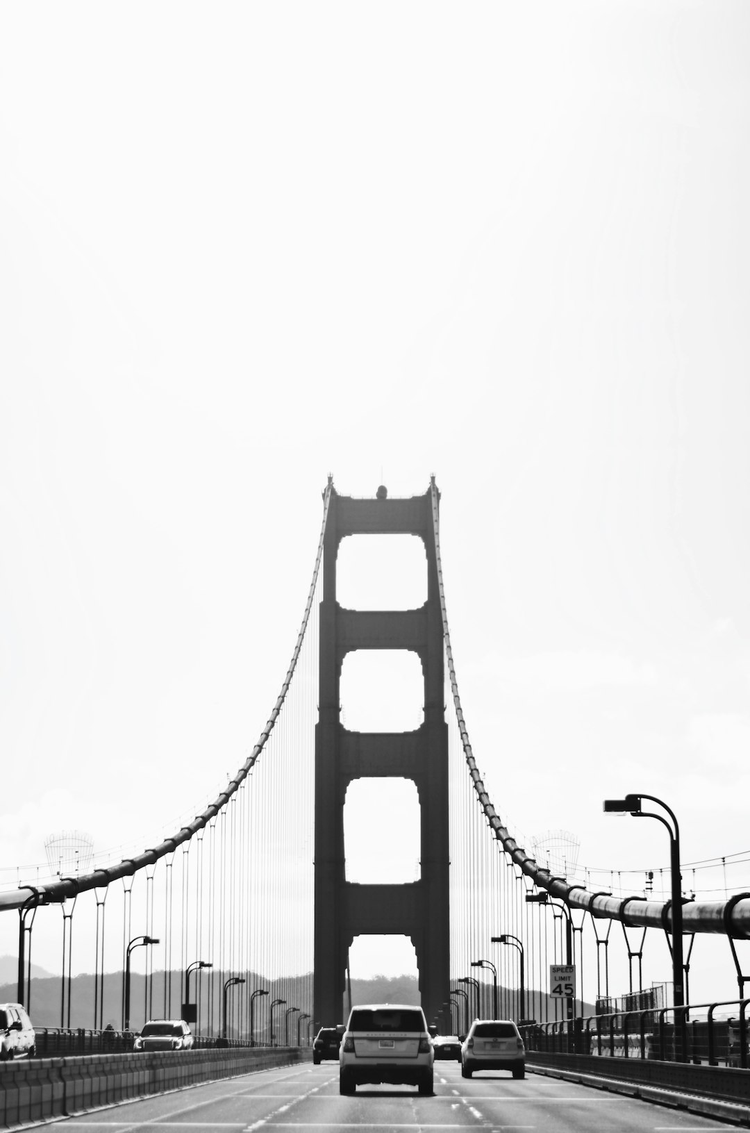 grayscale photo of bridge under white sky