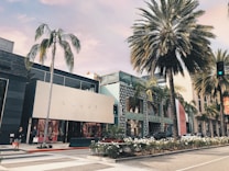 A street scene featuring upscale fashion stores with palm trees lining the sidewalk. The buildings have a modern design, with boutiques such as Prada and Gucci prominently displayed. There are people walking with shopping bags, and a well-maintained flower bed runs along the road.