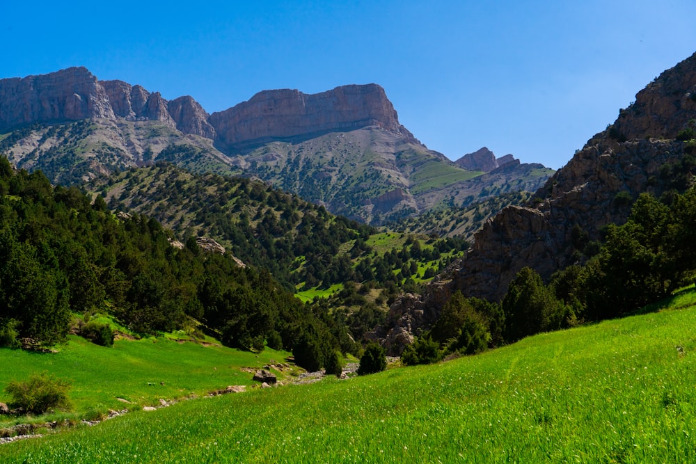 green grass field near mountain under blue sky during daytime