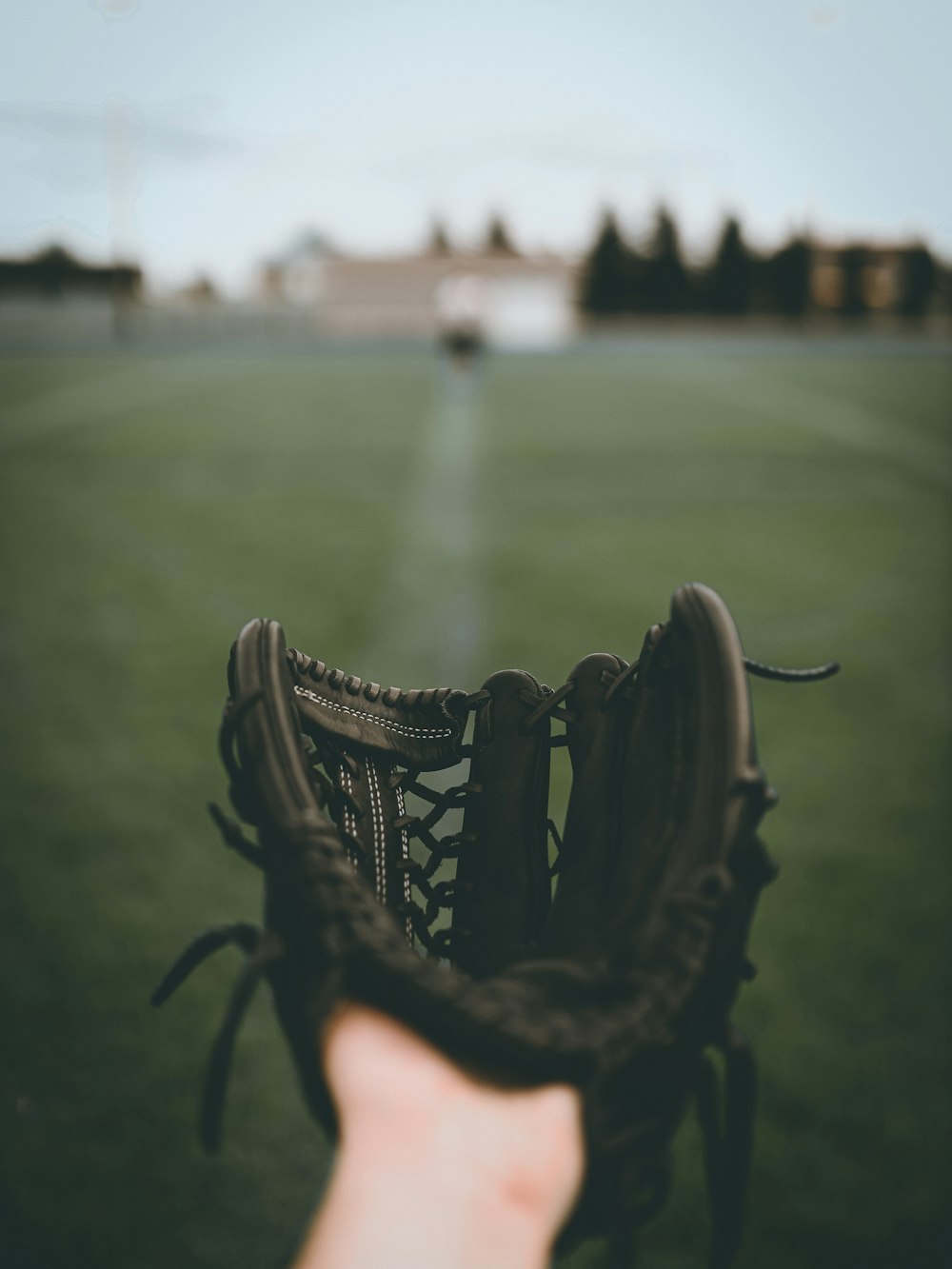 black wooden bench on green grass field during daytime