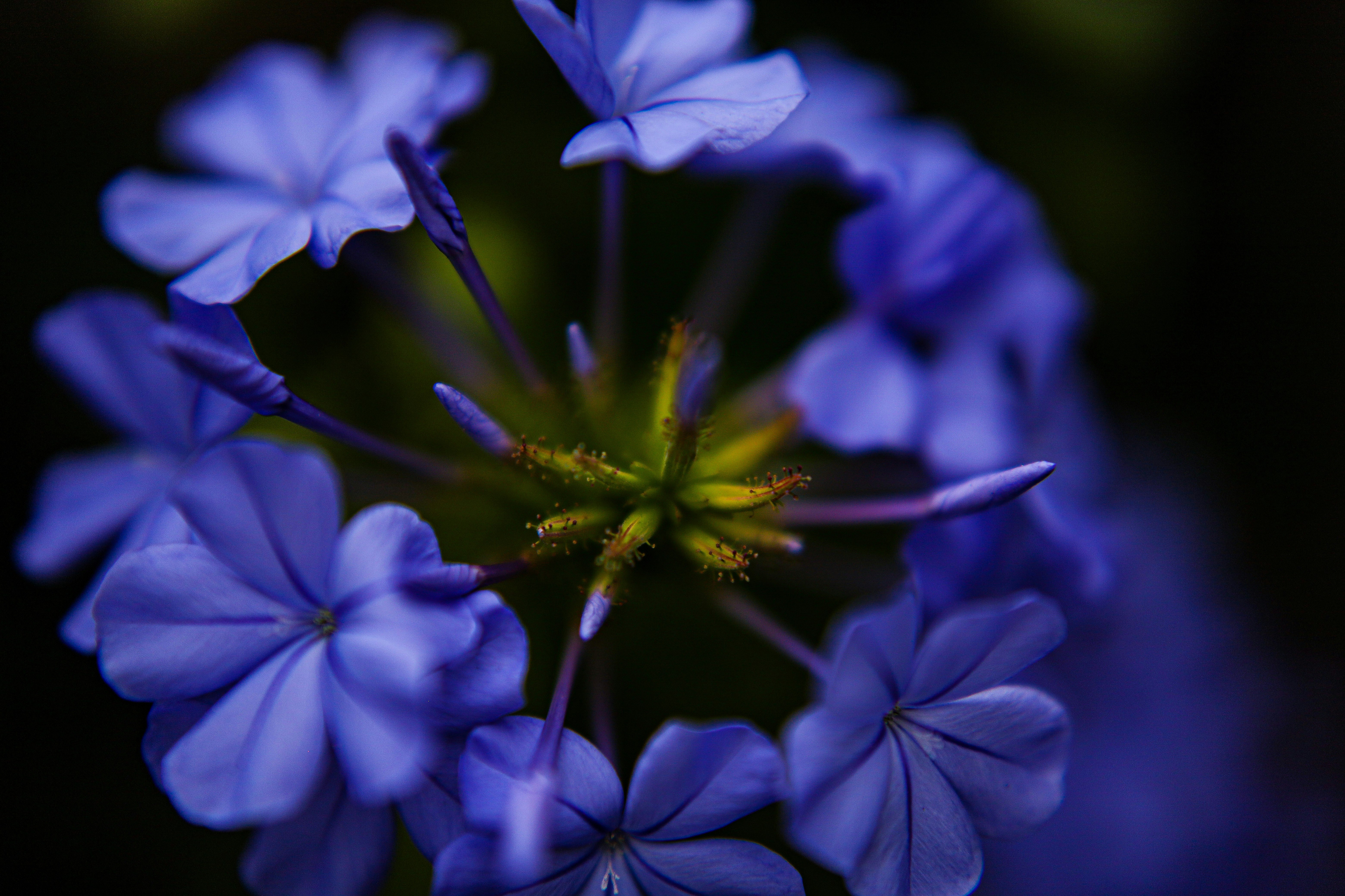 Photo by thetrentonsmith