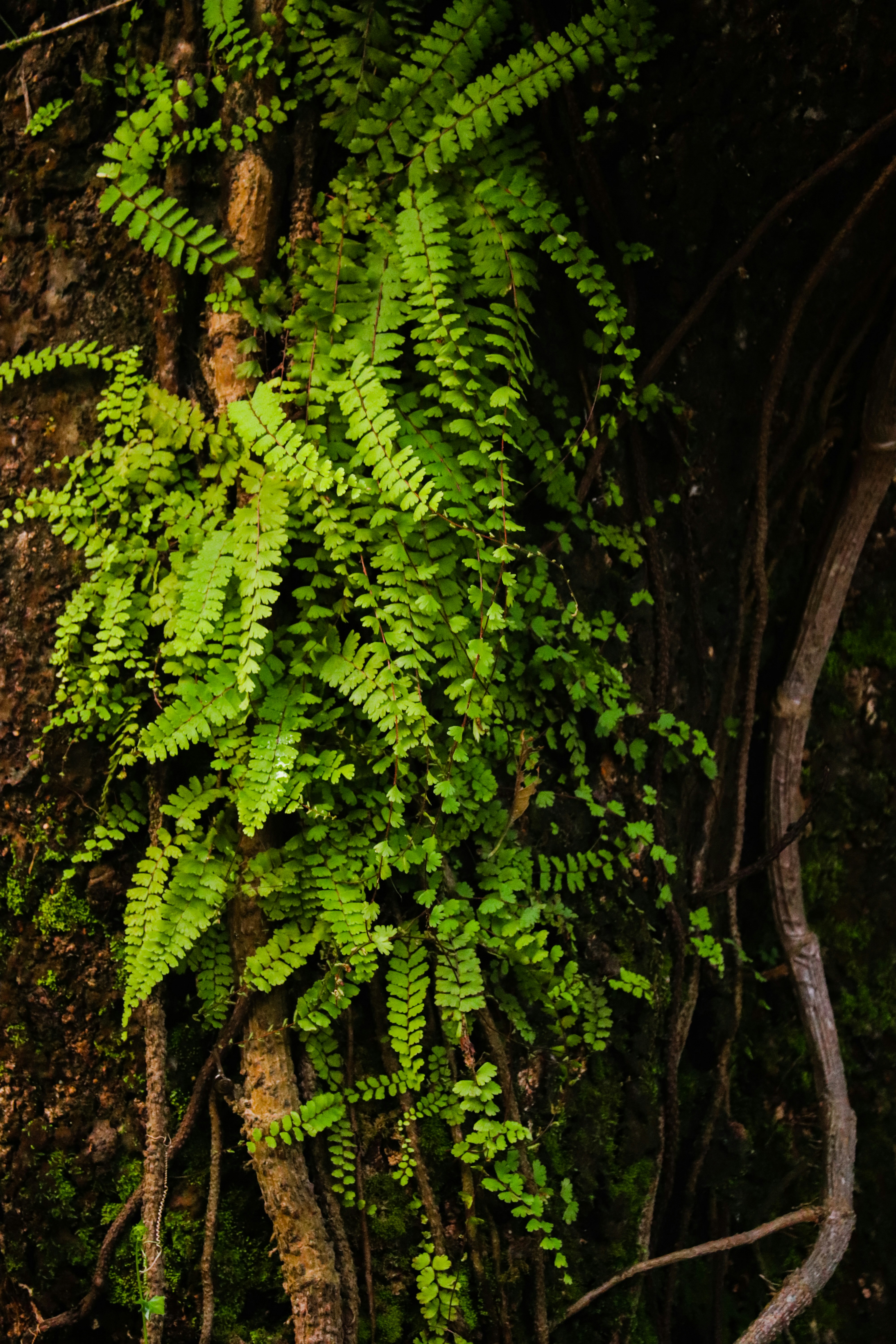 Photo by gypsy_soul_clicks