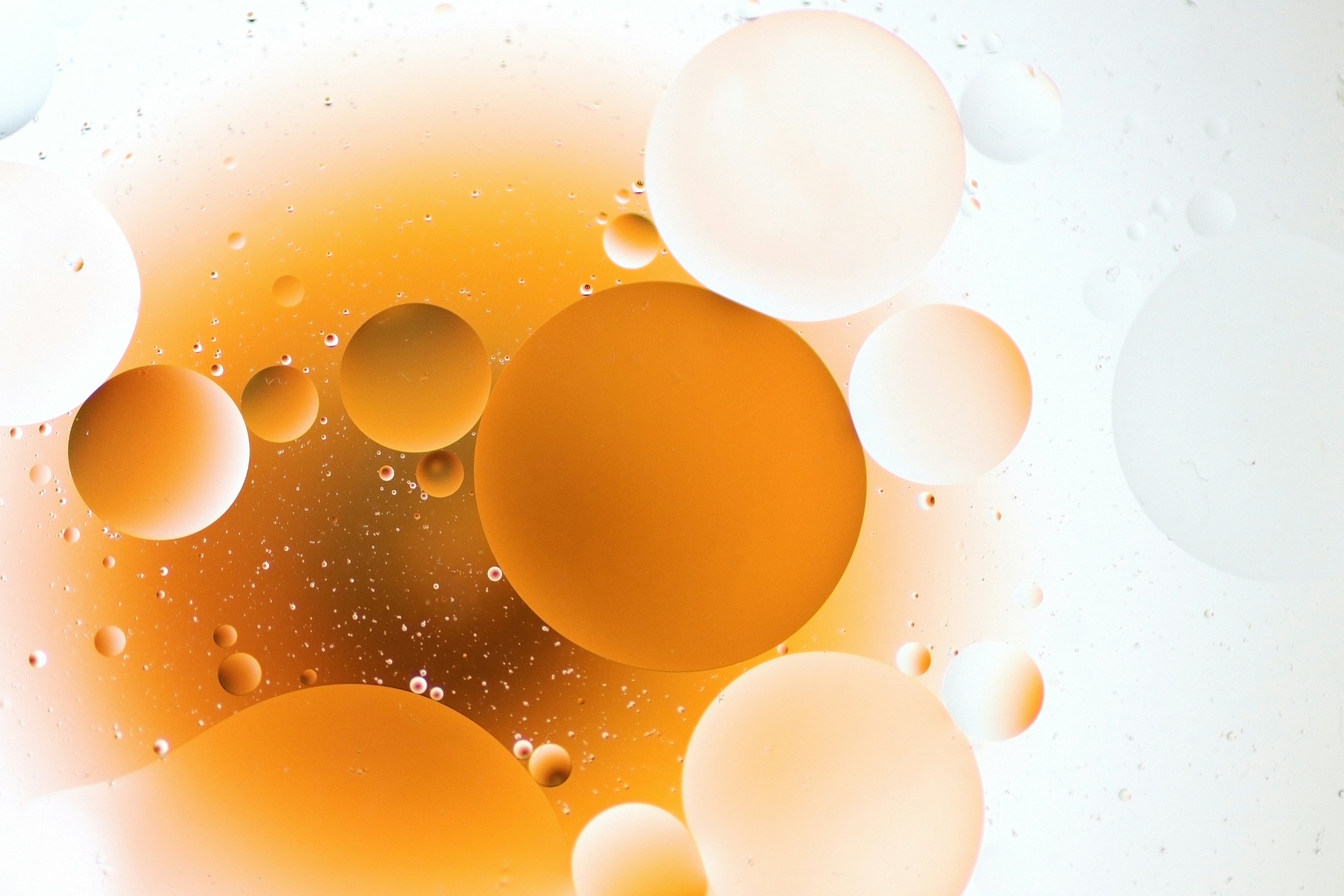 Photo by createwithdippyaman