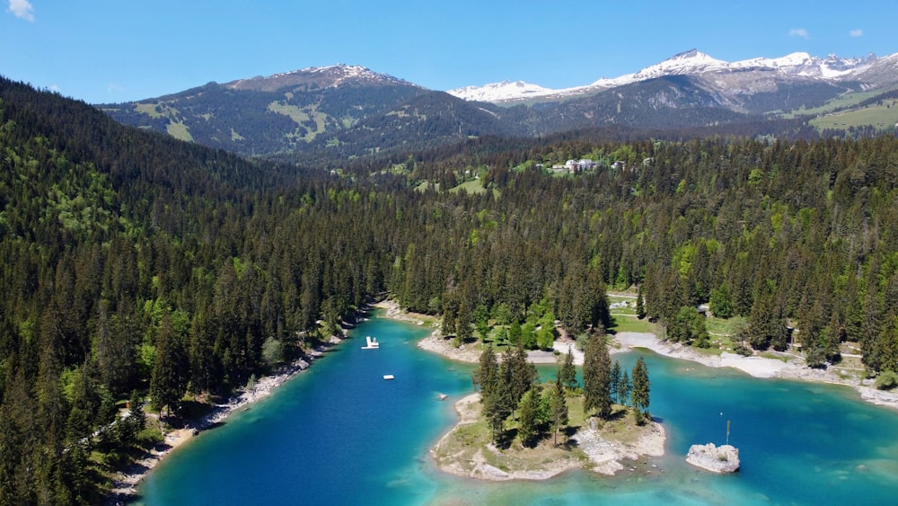 green lake surrounded by green trees and mountains during daytime