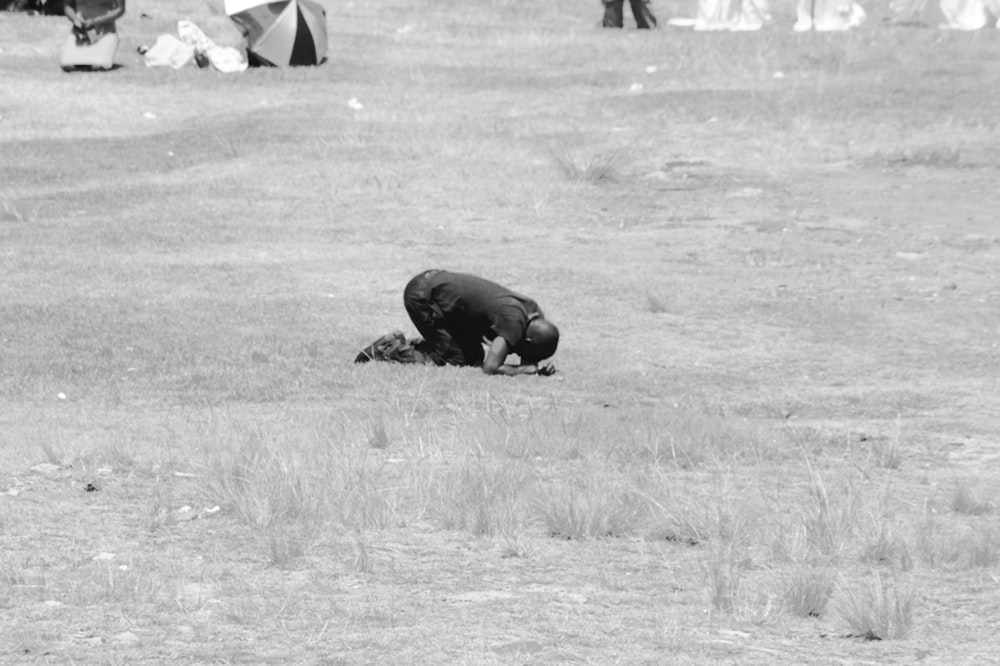 black animal on brown grass field