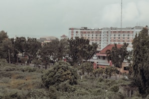 An urban landscape features a mix of greenery and modern architecture. There is a row of trees in the foreground, a dense growth of bushes and plants, and several multi-story buildings in the background. One of the buildings has a sign with the word 'VAST', suggesting it may be a business or public space.