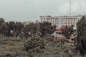An urban landscape features a mix of greenery and modern architecture. There is a row of trees in the foreground, a dense growth of bushes and plants, and several multi-story buildings in the background. One of the buildings has a sign with the word 'VAST', suggesting it may be a business or public space.