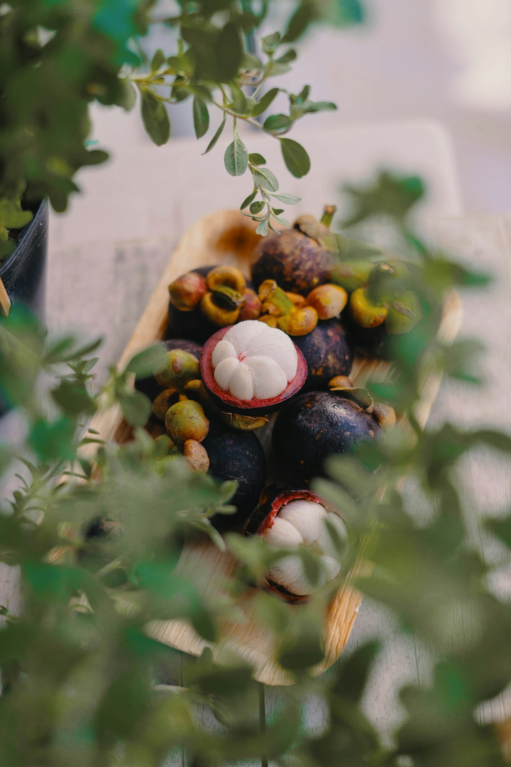 assorted fruits on white ceramic plate