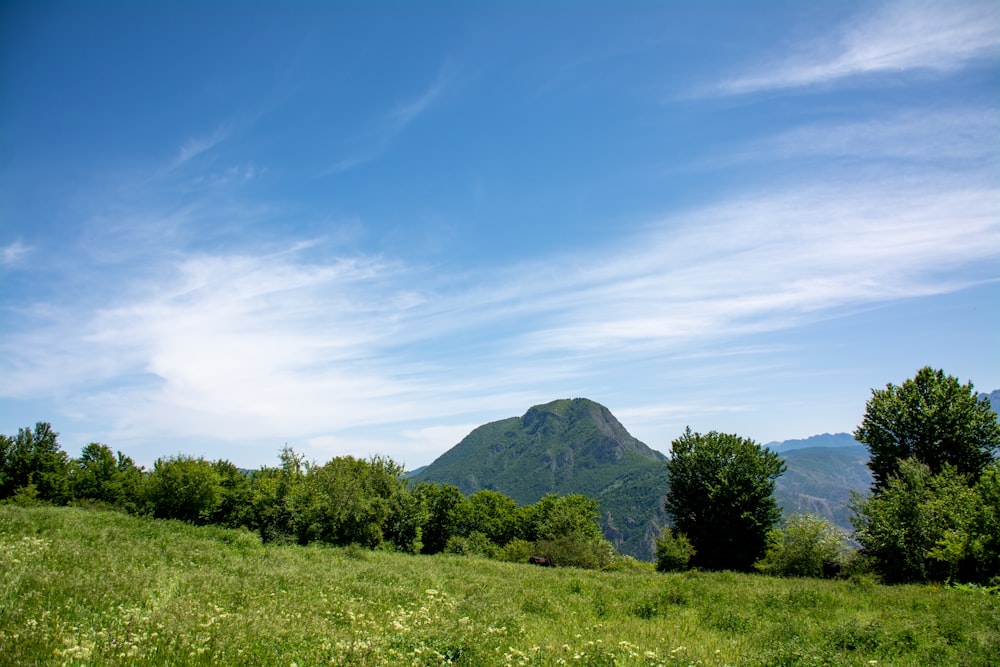 green grass field near green mountain under blue sky during daytime