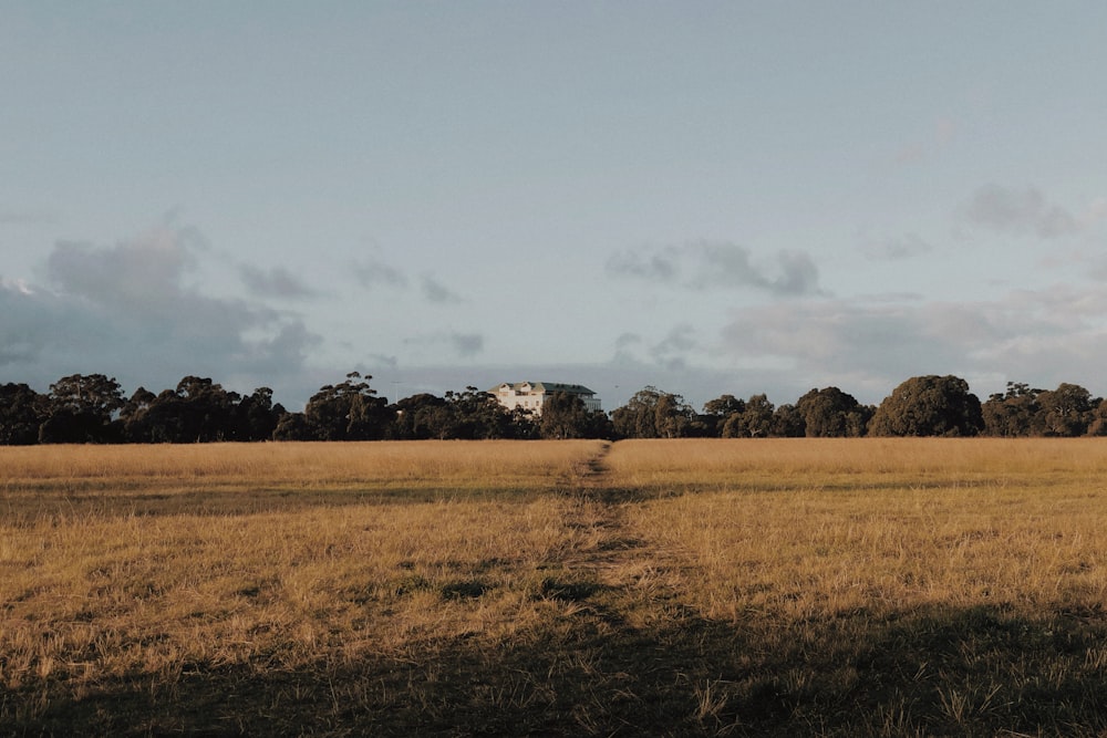 brown grass field under white clouds during daytime