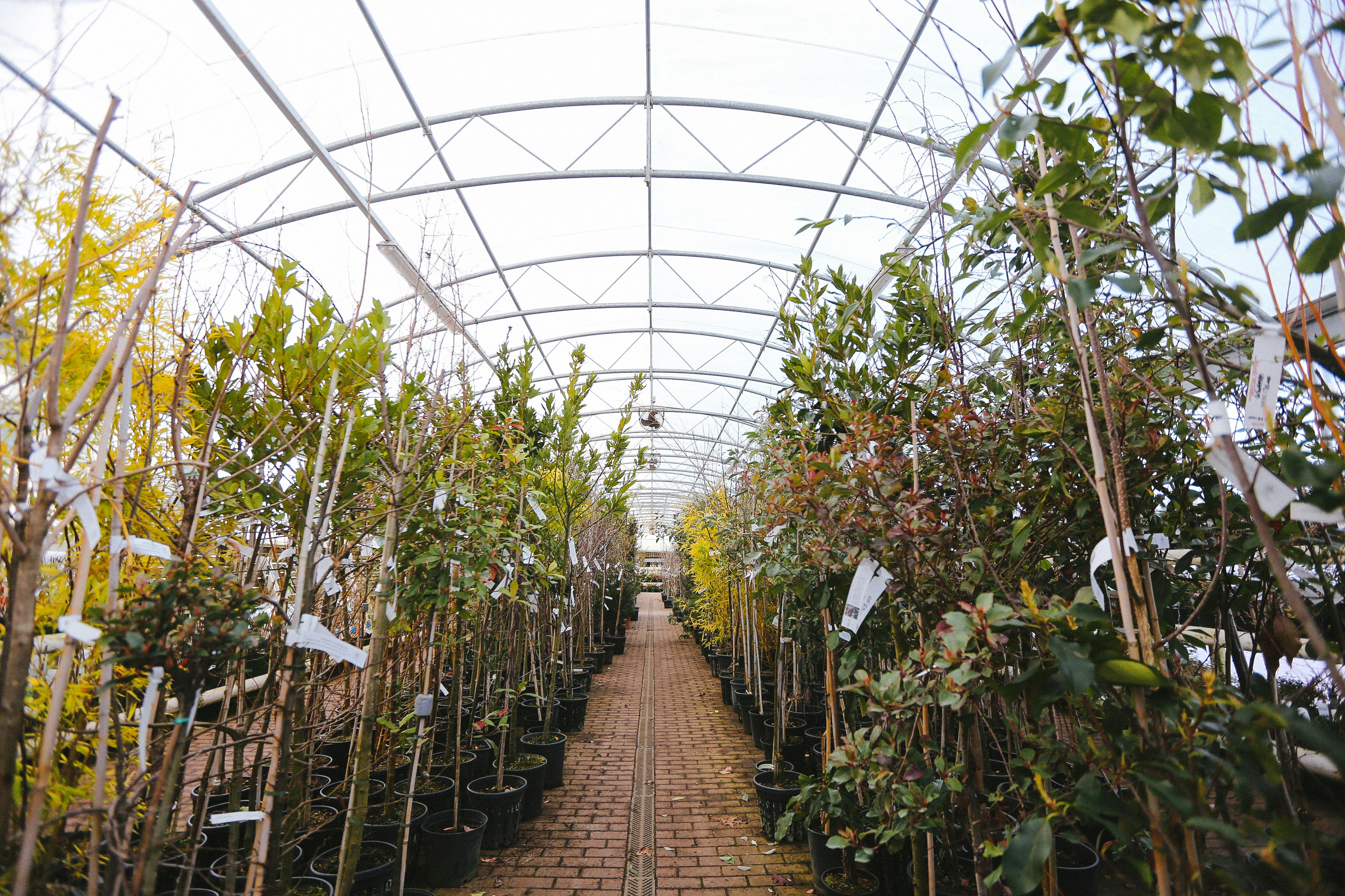 Photo by philhearing