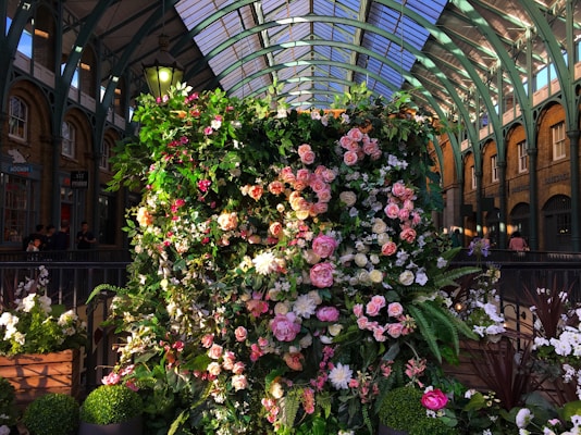 Photo 1590507046686 Ea1ef38bcba5?q=85&w=700&h=400&fit=crop