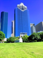 a grassy field with buildings in the background