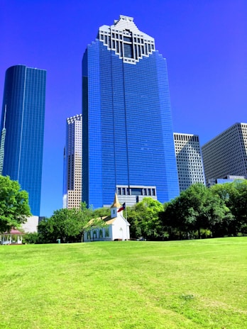 a grassy field with buildings in the background