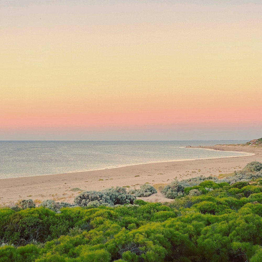 a view of a beach at sunset with the ocean in the background