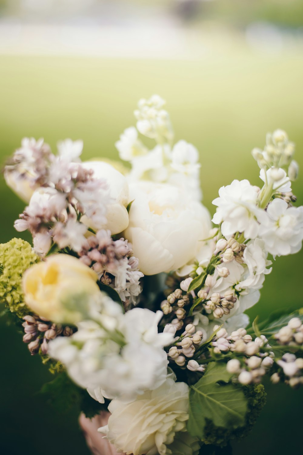 white flowers in tilt shift lens