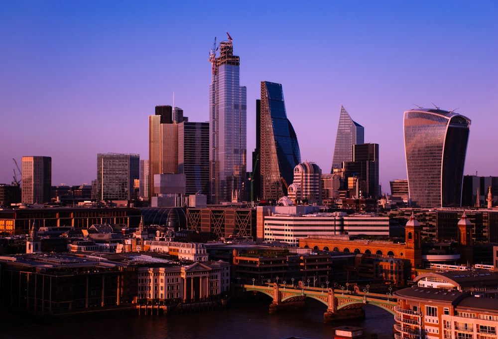 city skyline during night time