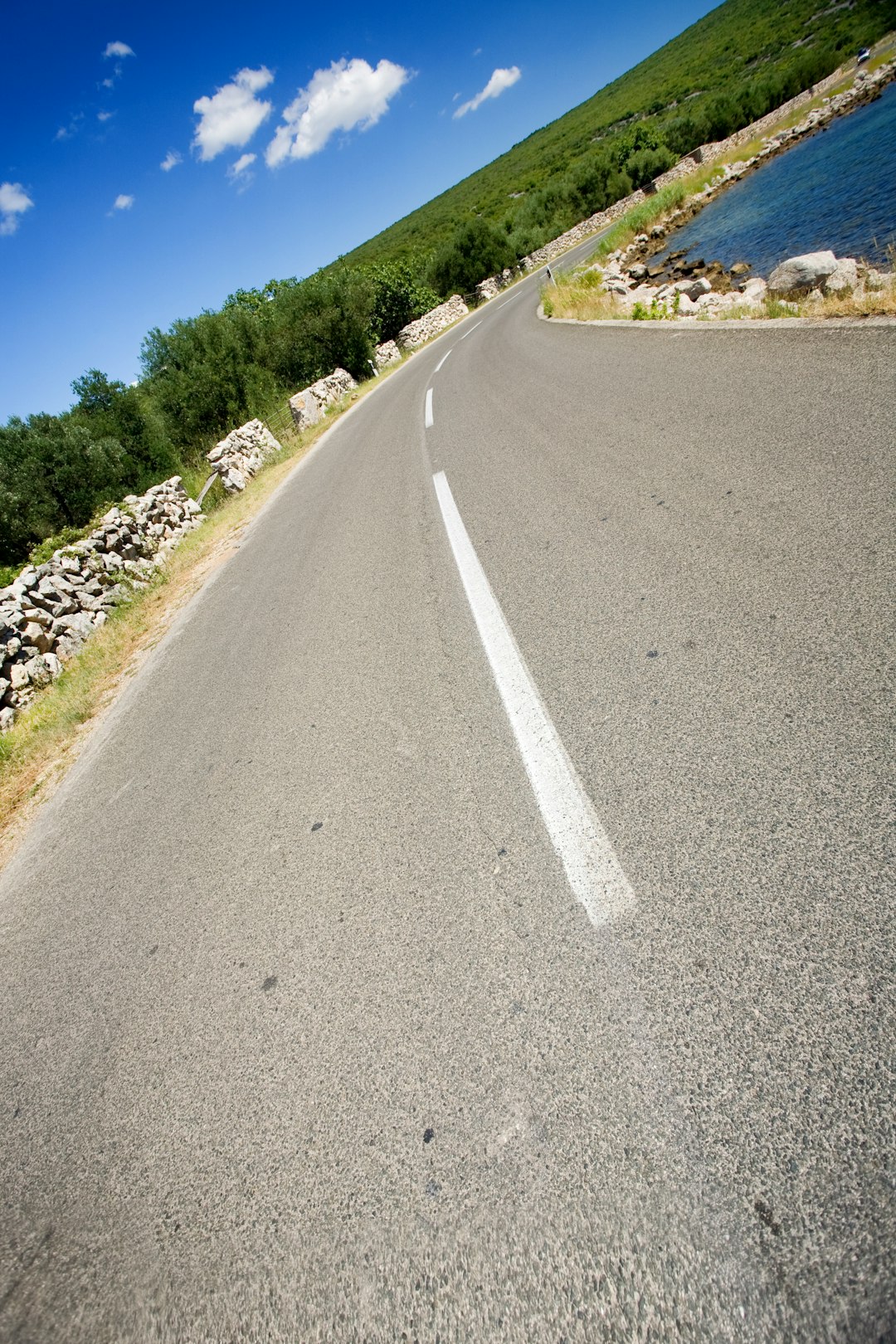 gray concrete road between green trees under blue sky during daytime