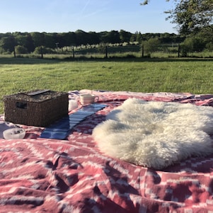 A cozy picnic scene with friends laughing and playing cards under a sunny sky.