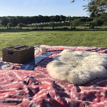 A picnic scene on a grassy field with a pink-patterned blanket spread out. A wicker basket, a white fluffy cushion, a set of blue tarot cards, and a pink-striped mug are placed on the blanket. The scene is set in a lush green landscape with a fence and trees in the background under a clear blue sky.