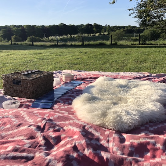 A cozy picnic scene with friends laughing and playing cards under a sunny sky.