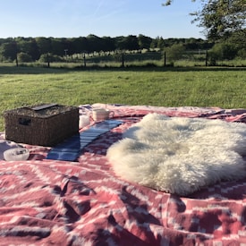 A picnic scene on a grassy field with a pink-patterned blanket spread out. A wicker basket, a white fluffy cushion, a set of blue tarot cards, and a pink-striped mug are placed on the blanket. The scene is set in a lush green landscape with a fence and trees in the background under a clear blue sky.