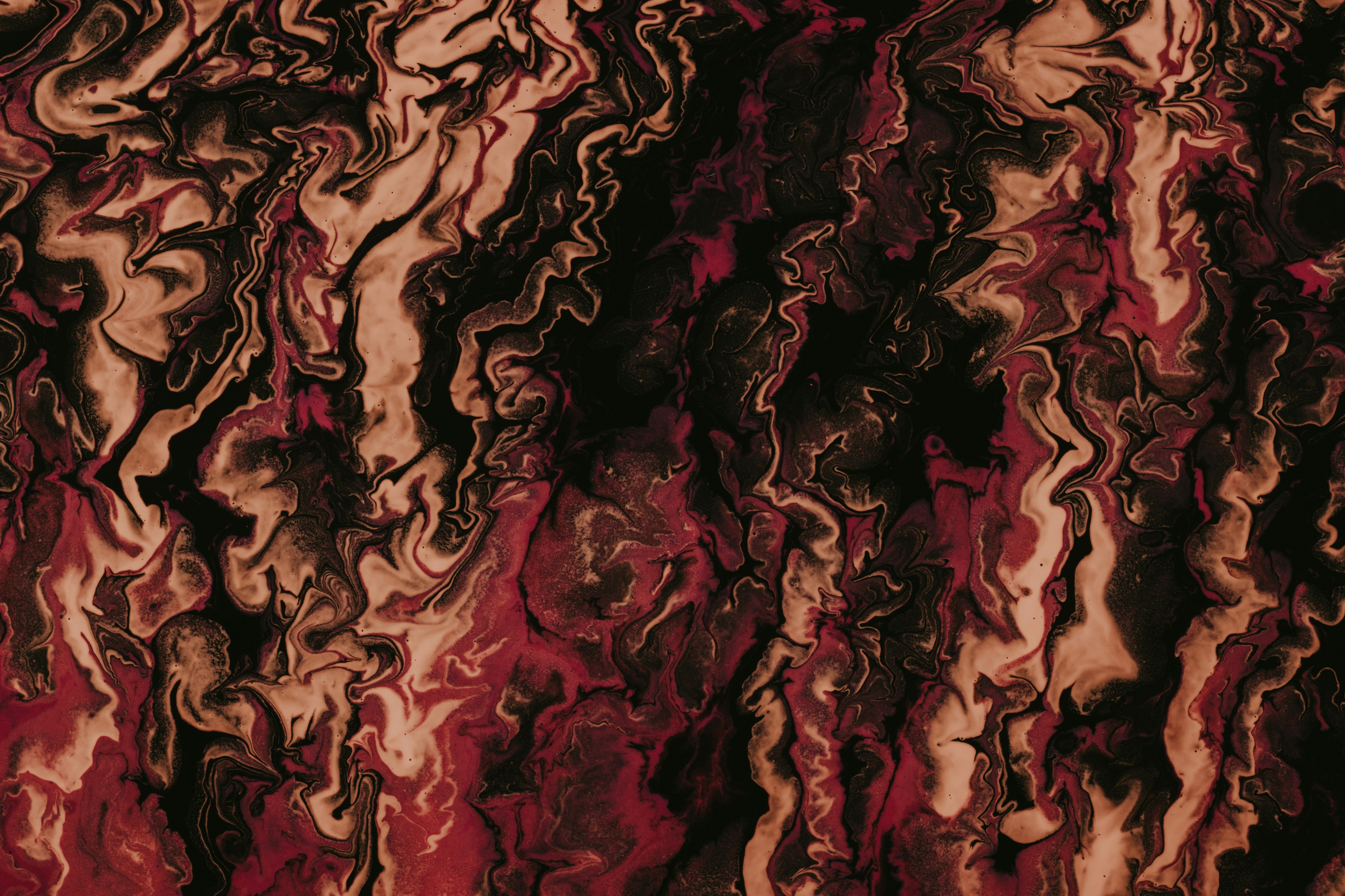 Photo by pawel_czerwinski