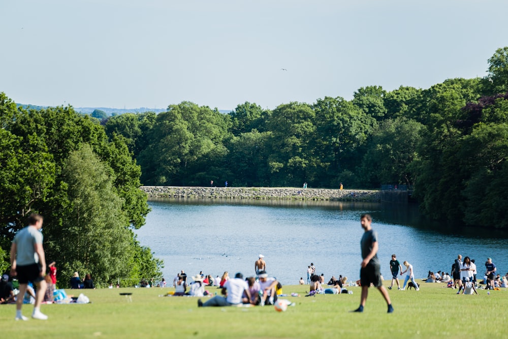 people sitting on green grass field near body of water during daytime