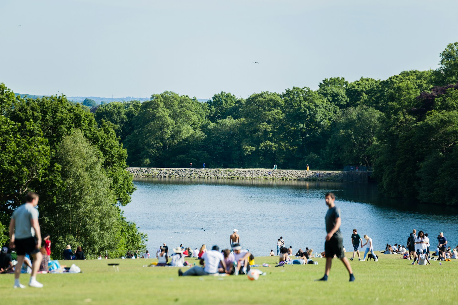 People sitting on the grass and enjoying a small lake