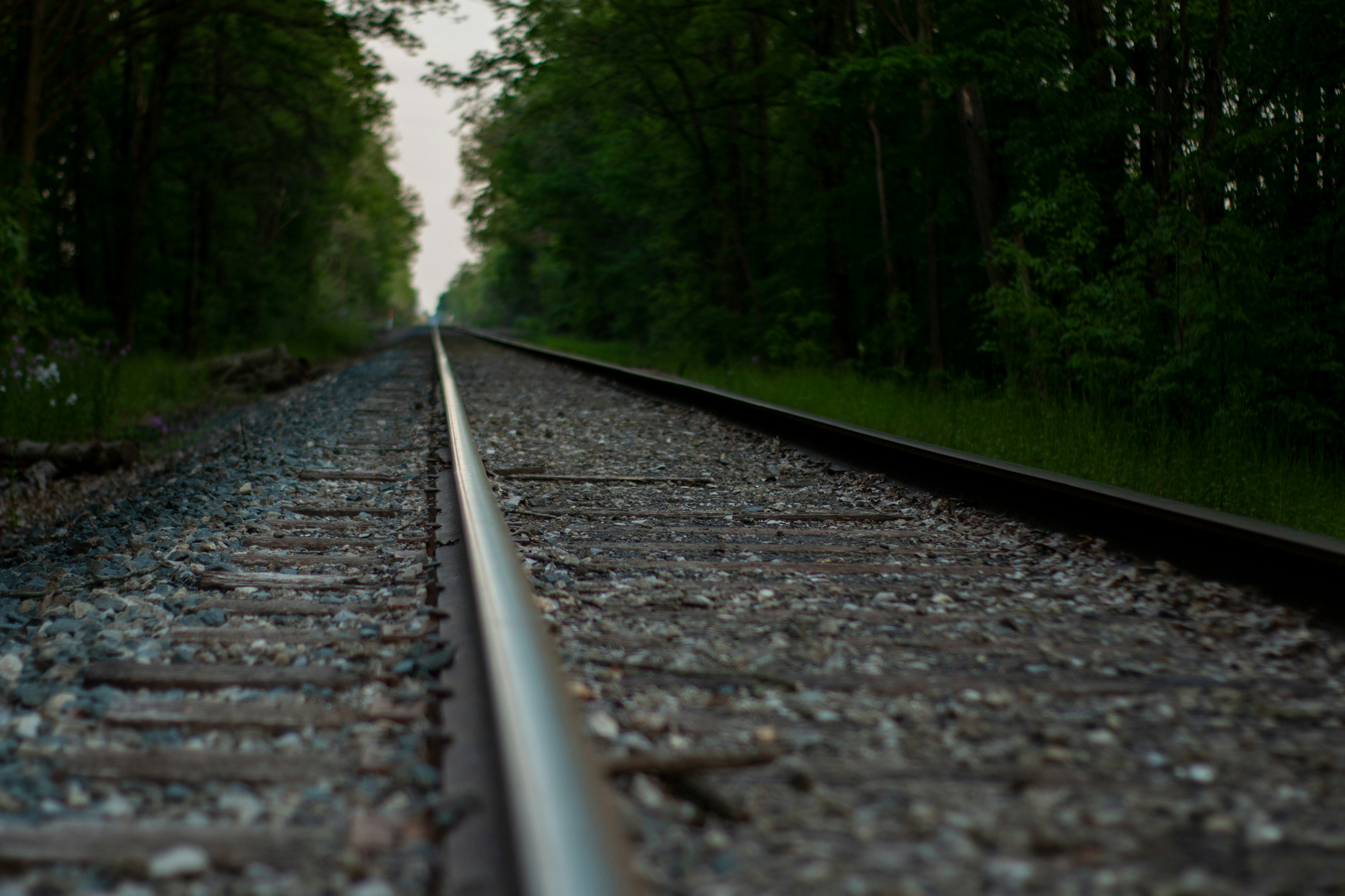 Photo by drkolomiyets