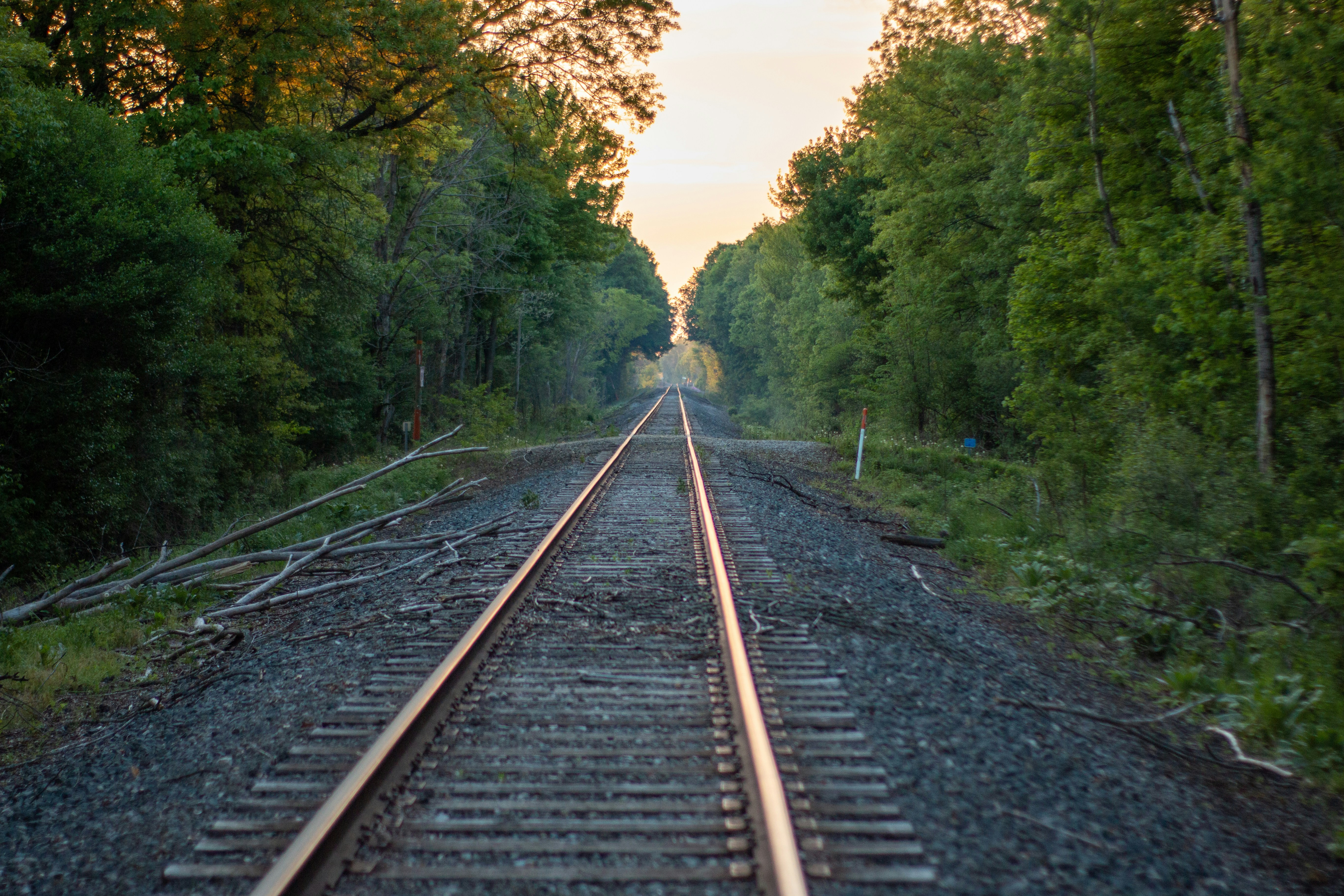 Photo by drkolomiyets