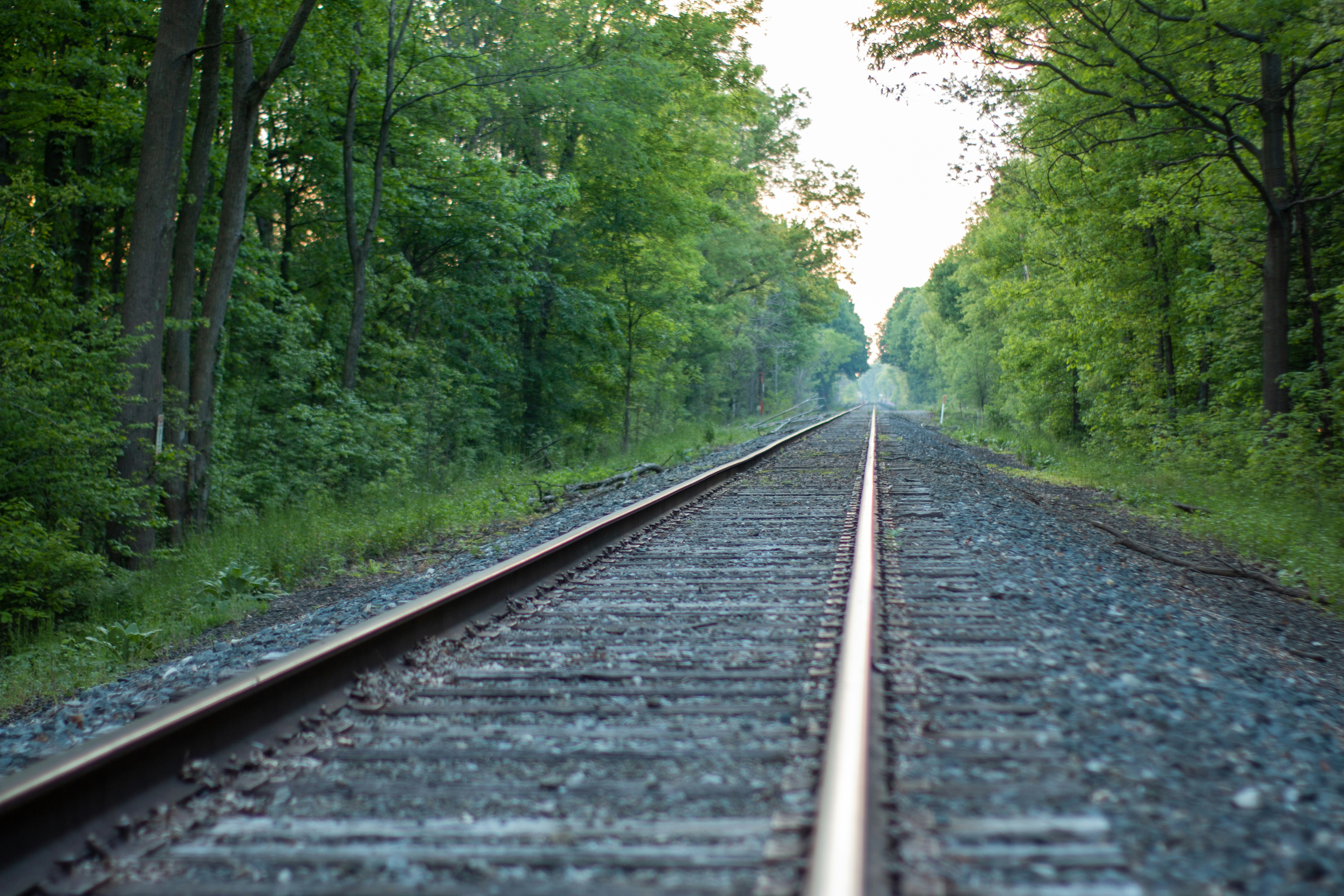 Photo by drkolomiyets