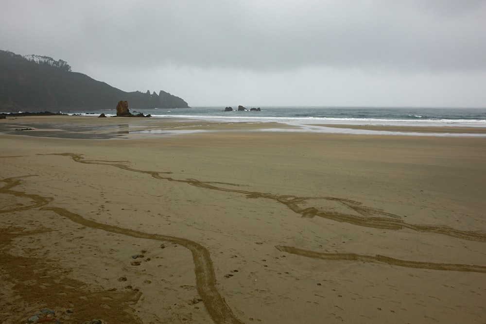 people walking on beach during daytime