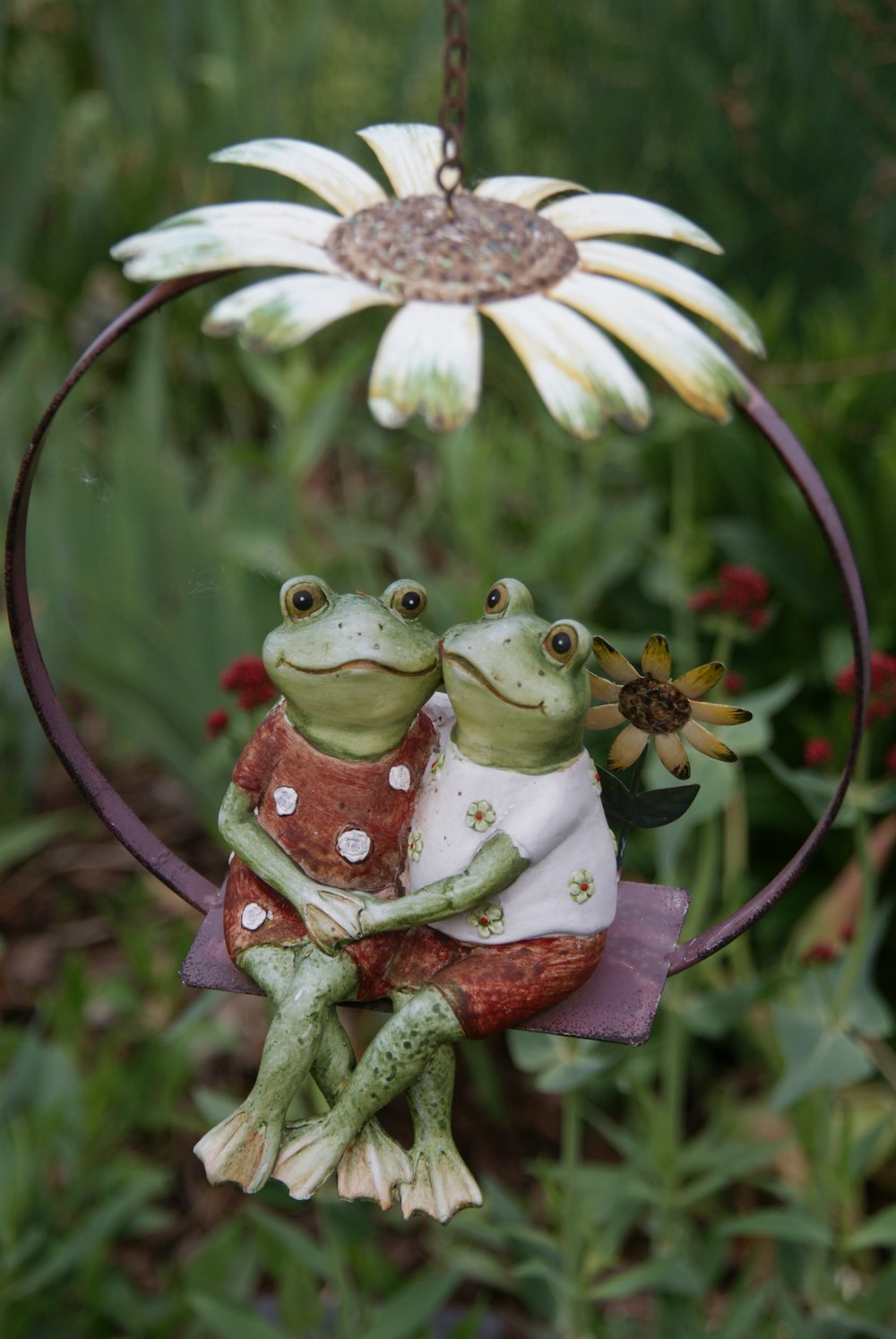 green frog on red and white flower