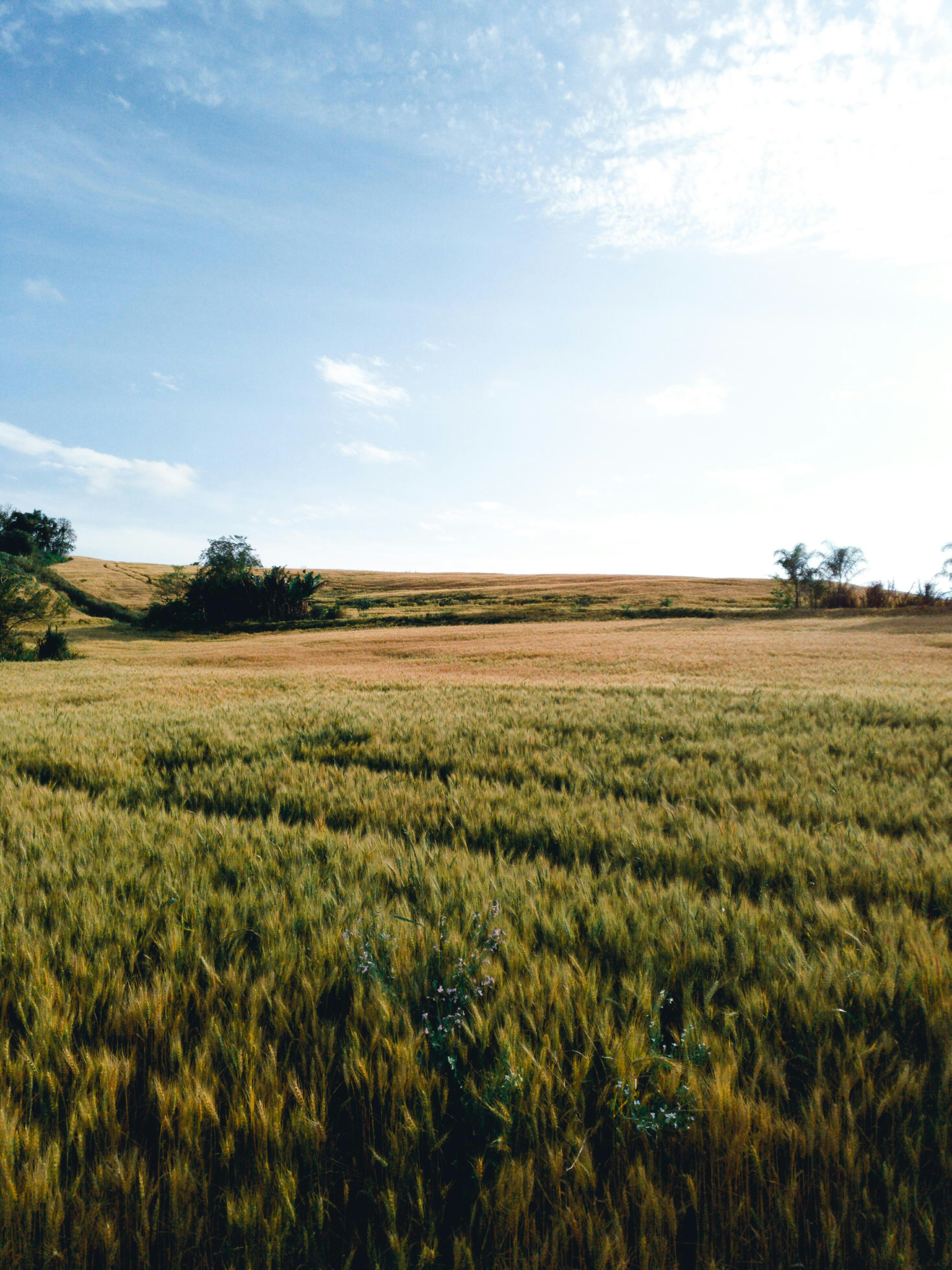 Photo by claitonconto