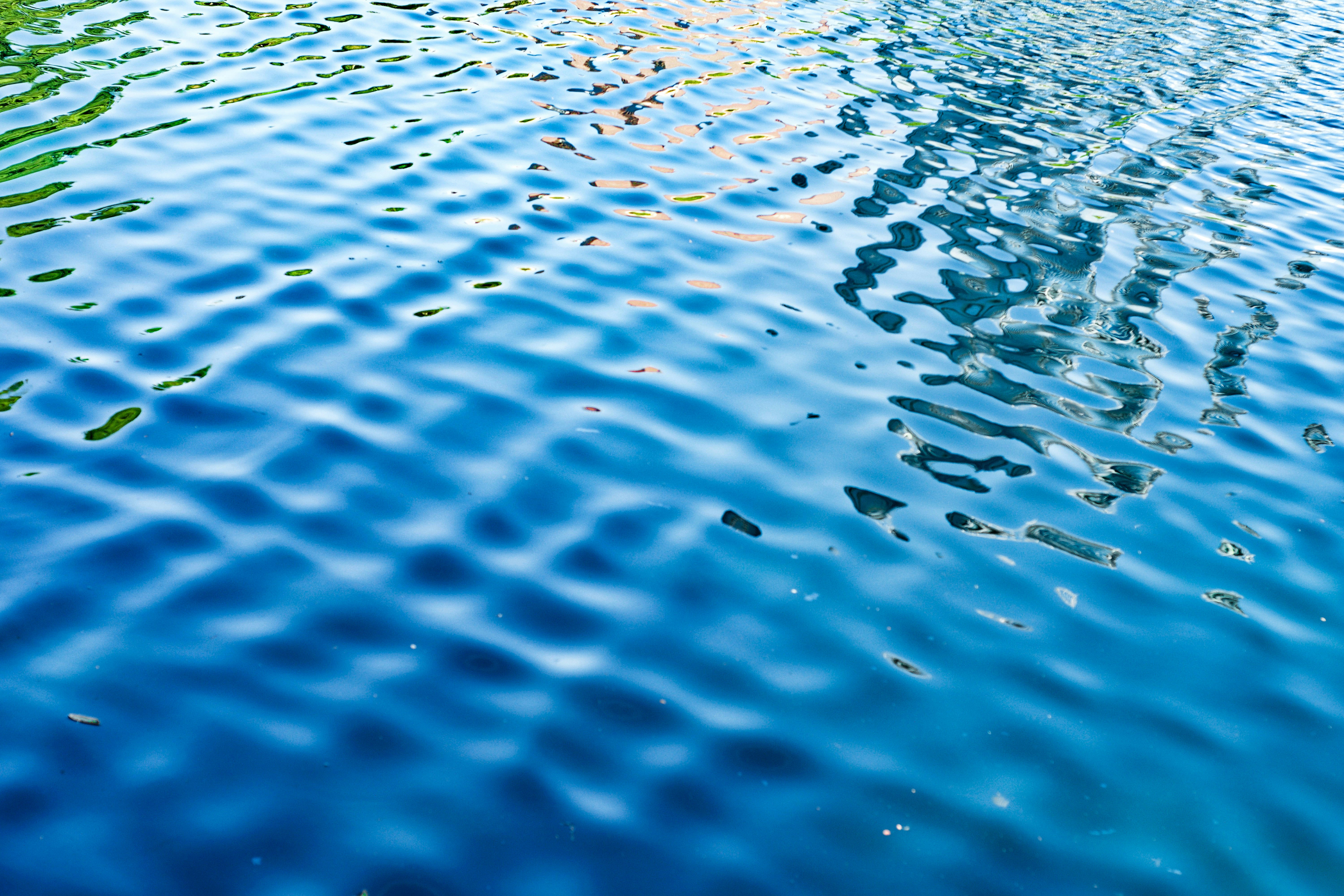 Photo by jaimecuadra