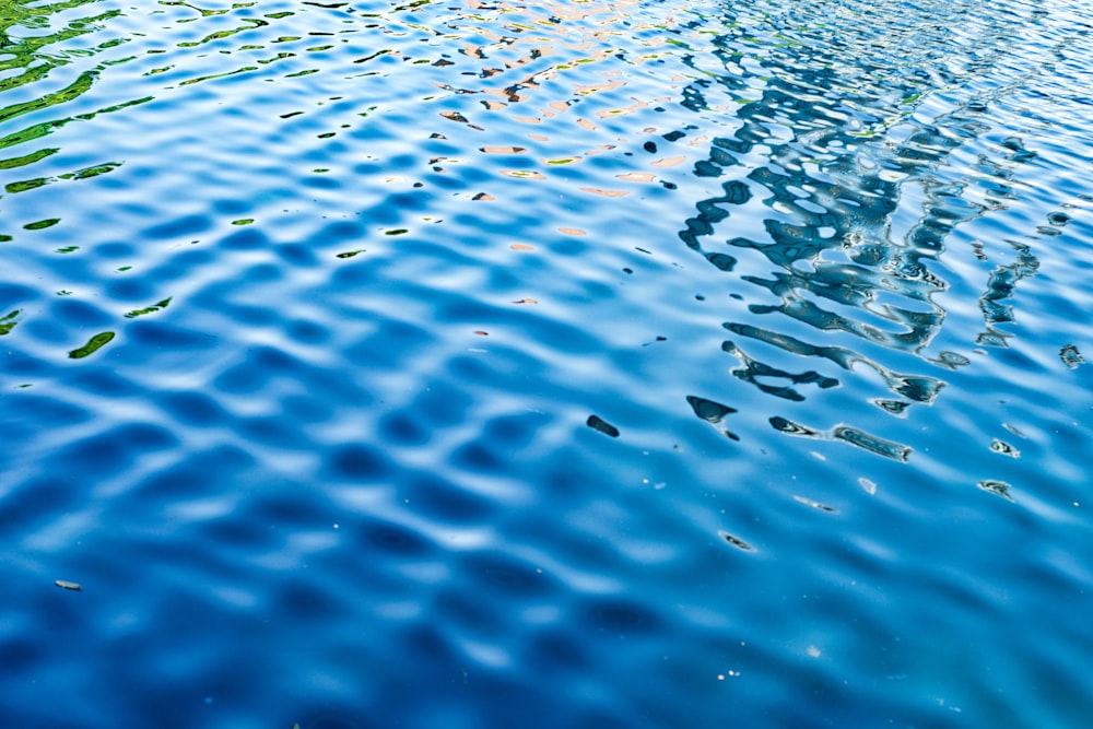 body of water during daytime