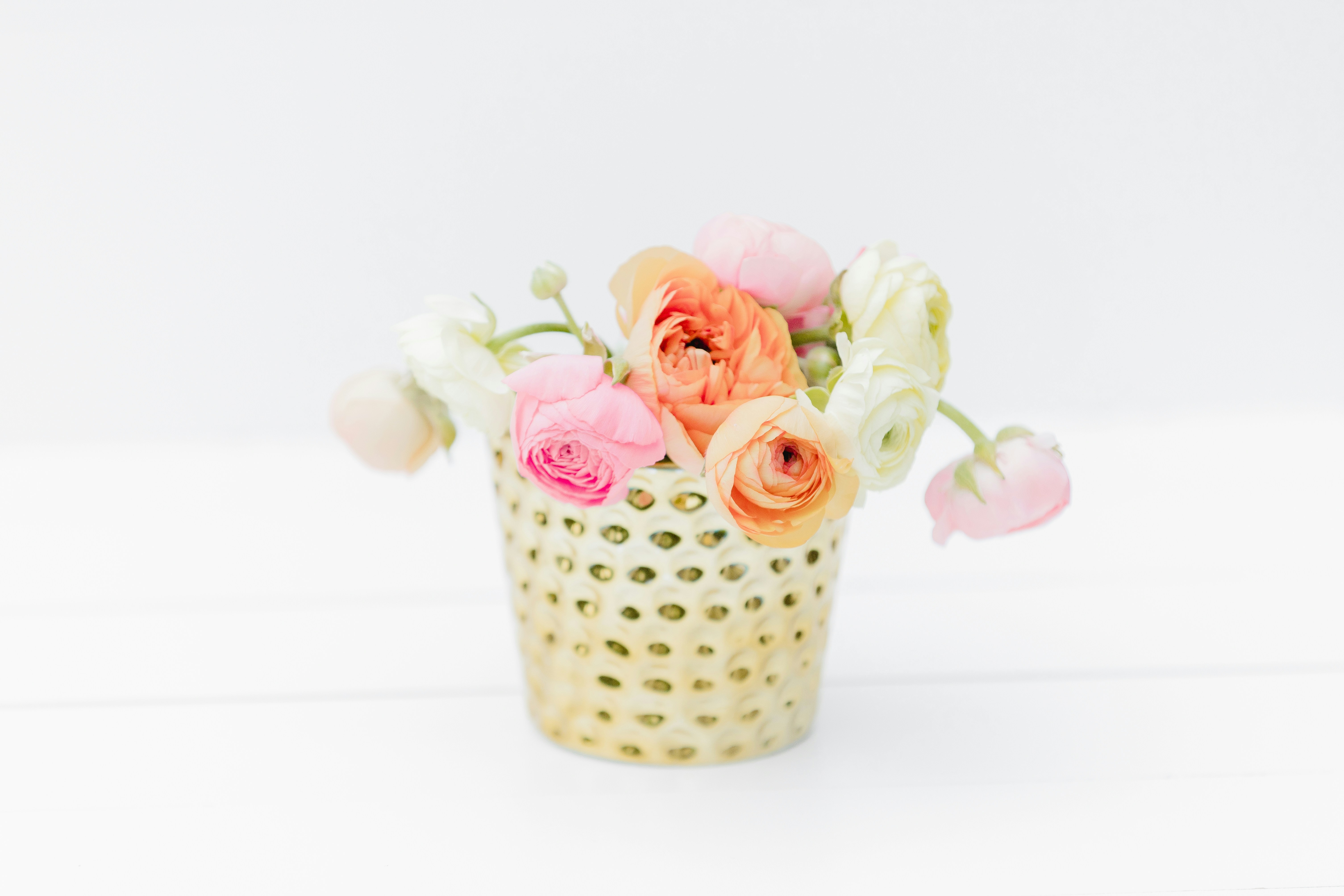 Feminne styled stock photo