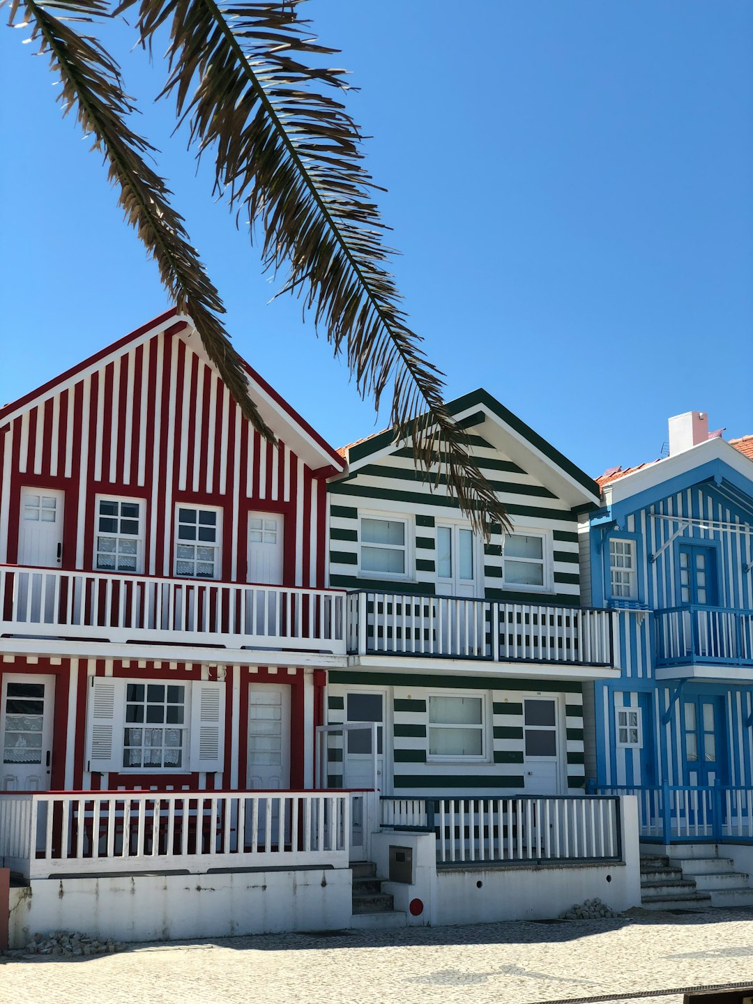 Town photo spot Avenida José Estêvão Alta da Cidade