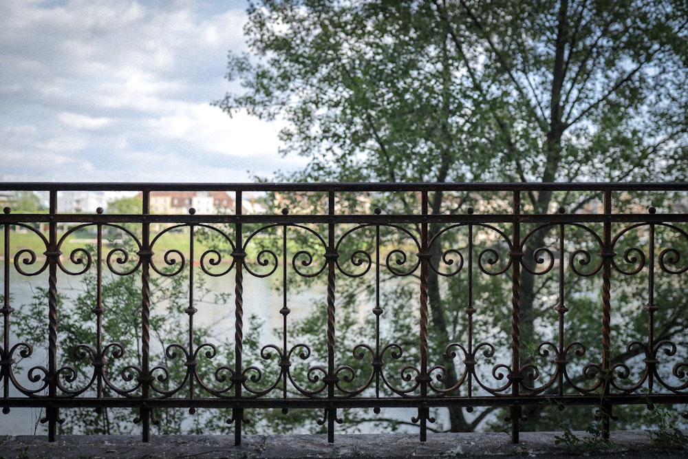 black metal fence near green trees during daytime