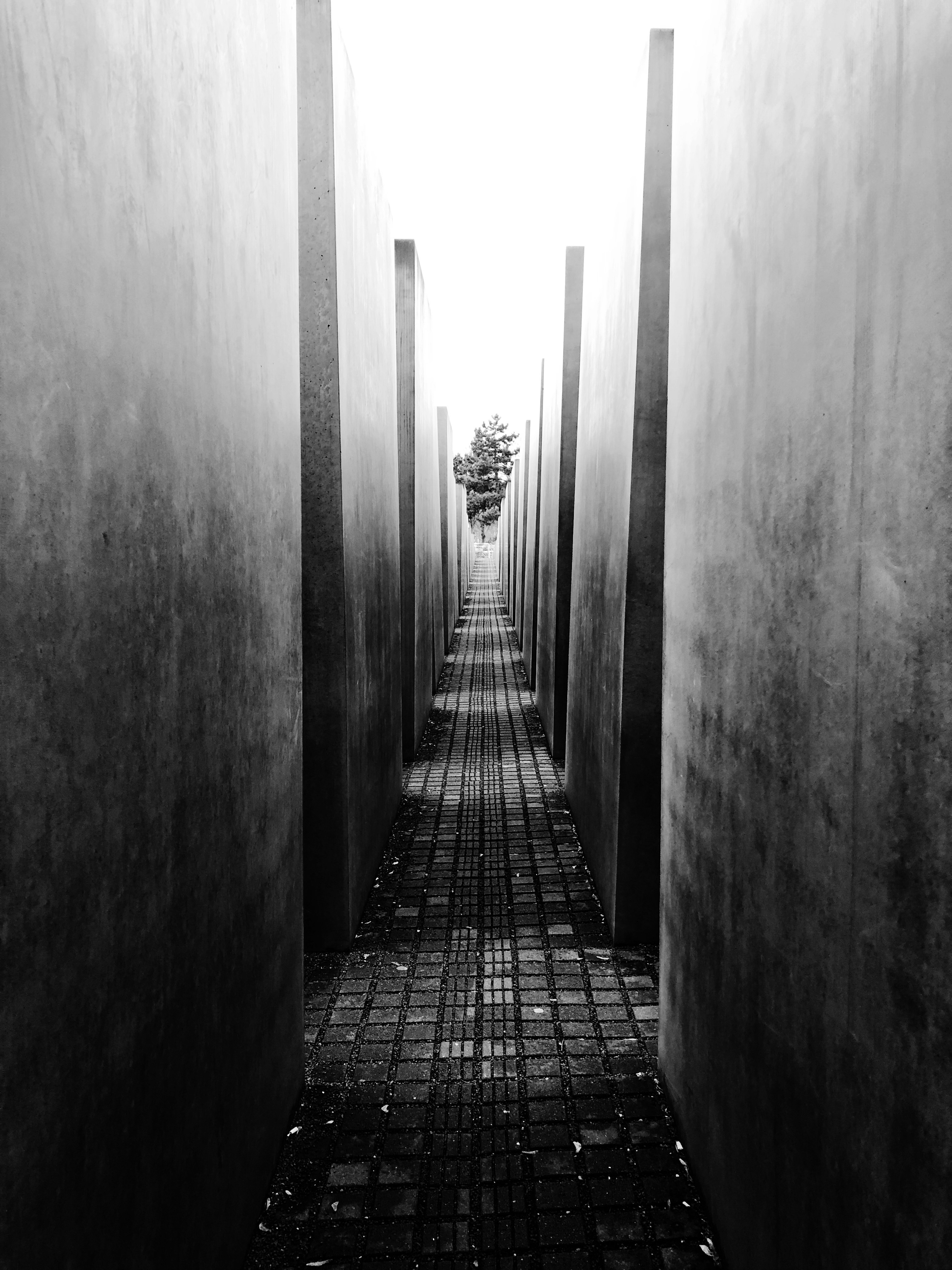 Photo by pedrolopessousa