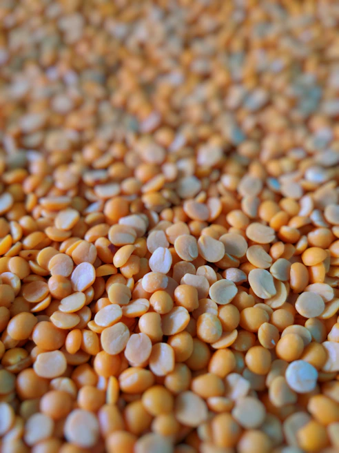 Close-up of golden lentils spilling from a burlap sack, highlighting their quality and texture.