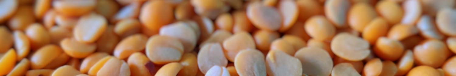 brown and white pebbles on ground