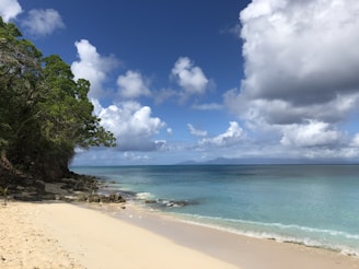 A serene tropical beach blending into a digital cloud network symbolizing global connectivity.