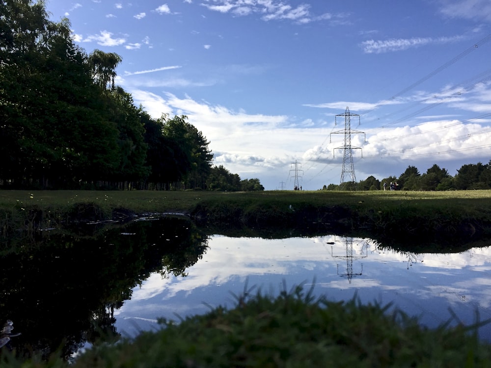 green trees beside river under blue sky during daytime