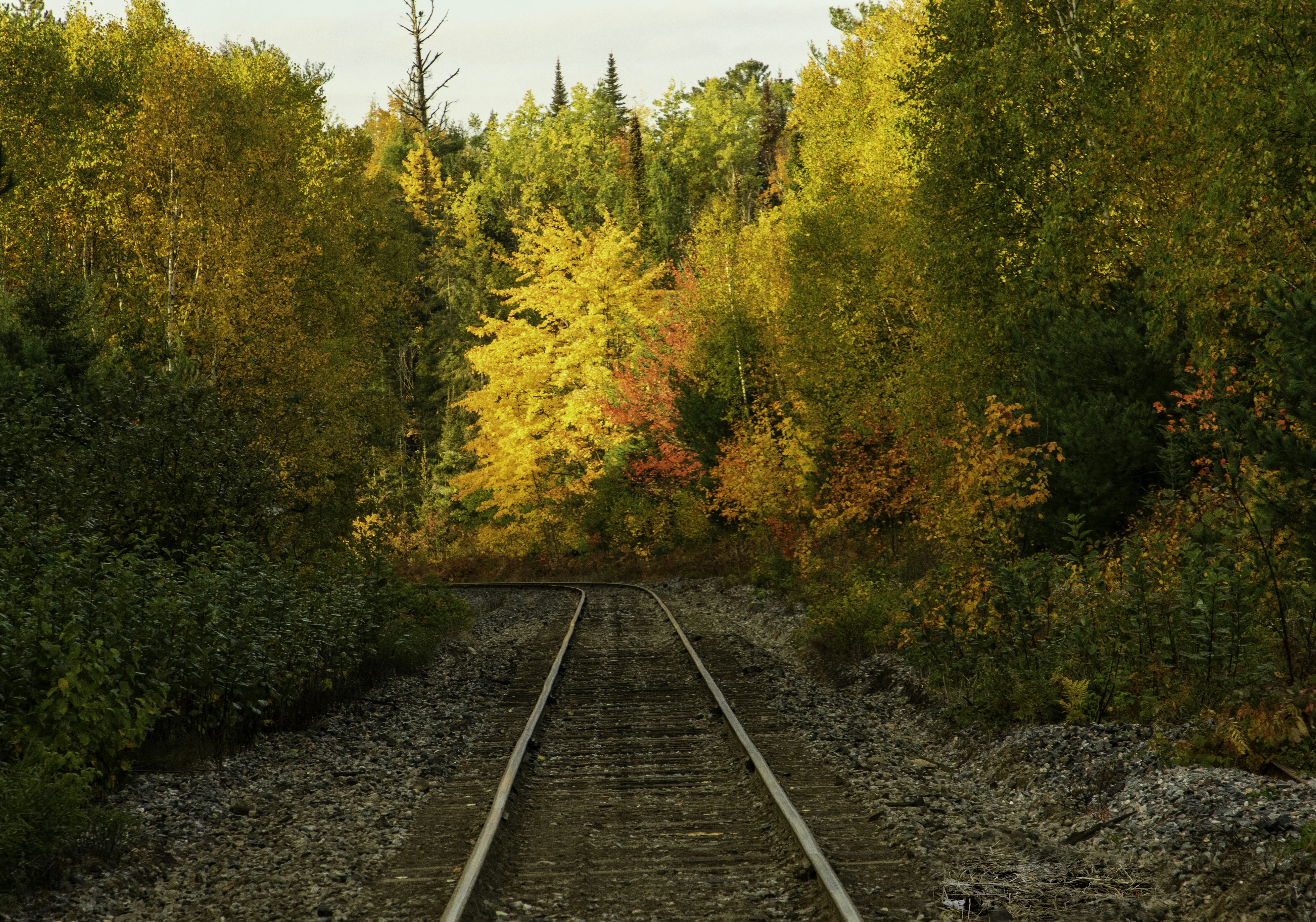 Photo by camerauthor