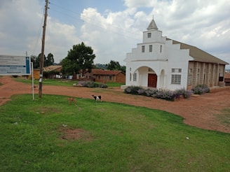 A white church building with a pointed roof and multiple windows stands in a rural setting. The building is adjacent to a dirt road and green grass. Nearby, there are several goats grazing. A signboard providing information about the church is visible in the foreground. The background features trees and smaller buildings under a partly cloudy sky.