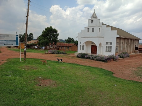A white church building with a pointed roof and multiple windows stands in a rural setting. The building is adjacent to a dirt road and green grass. Nearby, there are several goats grazing. A signboard providing information about the church is visible in the foreground. The background features trees and smaller buildings under a partly cloudy sky.