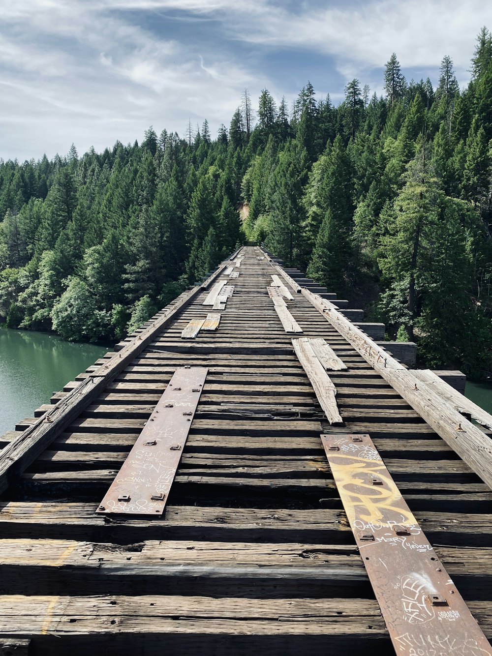 brown wooden dock over green lake